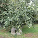 Le Pressoir - Maison Atypique A La Campagne *