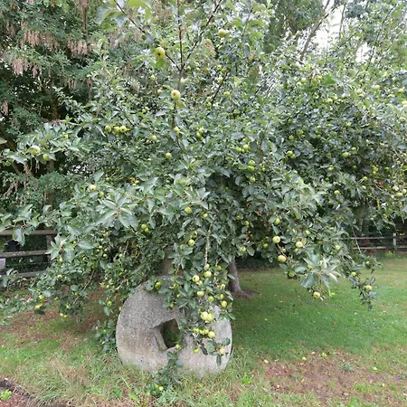 Le Pressoir - Maison Atypique A La Campagne *